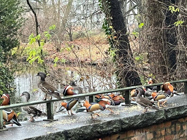 24-12-08 12-15-08 1769